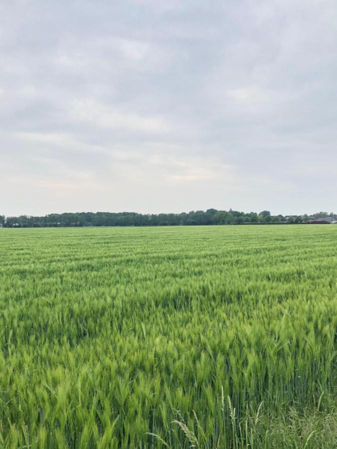 Bee Home - Urlaubs Und Business Loft Kevelaer Bagian luar foto